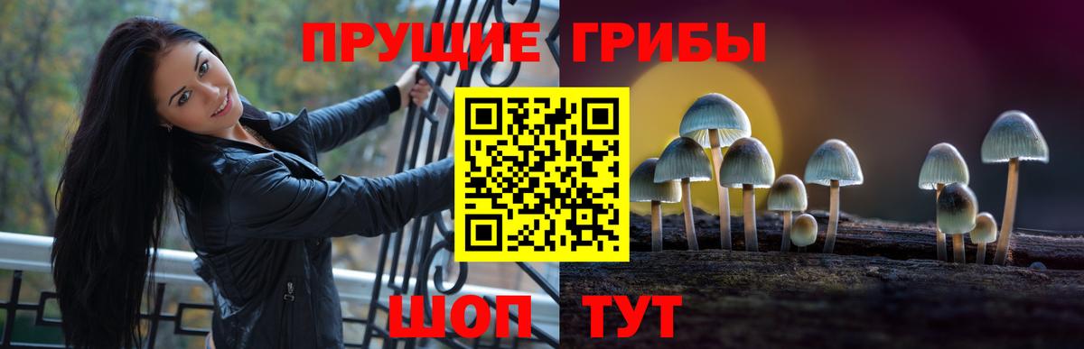 Галлюциногенные грибы мицелий Алушта
